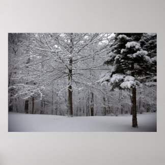 ウッズビュー ポスター