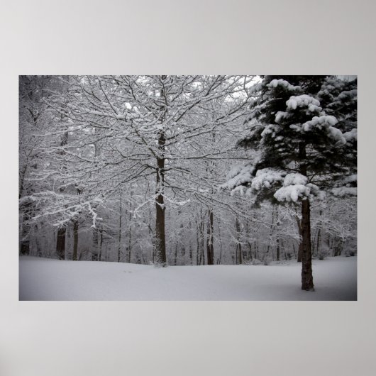 ウッズビュー ポスター (正面)