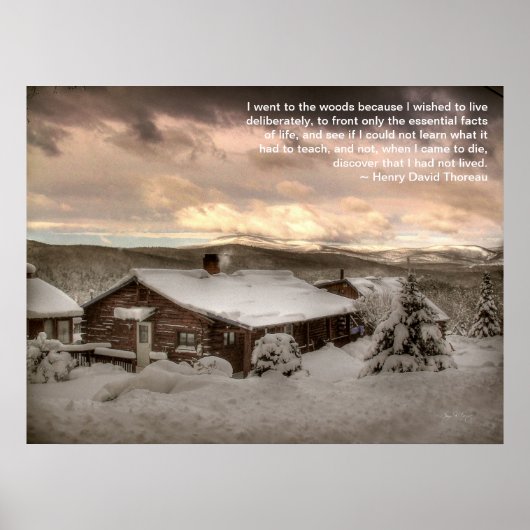 ウッズポスターに行った ポスター (正面)