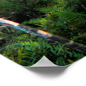 ウッズポスターを歩く ポスター (角)