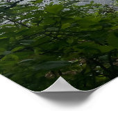 ウッズポ失ったスターの80年代 ポスター (角)