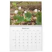 ウッズ歩くインスピレーション2020カレンダー カレンダー (3月 2027)