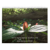 ウッズ歩くインスピレーション2020カレンダー カレンダー (カバー)