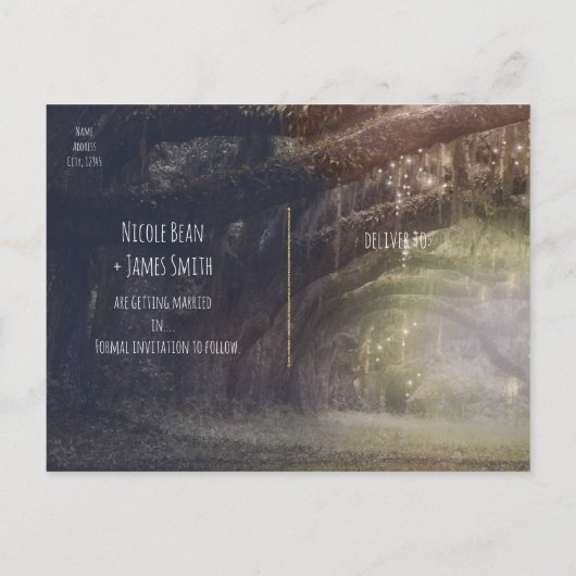 ウッズ素朴魅惑の森とライトの救日付 案内ポストカード (裏面)