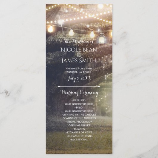 ウッズ素朴魅惑の森&ライトプログラム プログラム (正面)