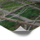 ウッズ・ファルズワース・ハウス ポスター (角)