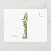 ウッズ・マウンテン・ムービング・アナウンス 案内ポストカード (裏面)