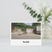 ウッタルプラデシュ州(インド) ポストカード (スタンド正面)