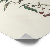 ウッディのナイトシェードポスター ポスター (角)