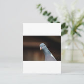 ウッディ・ウッド・ハト ポストカード (スタンド正面)