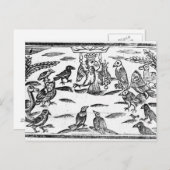 ウッディ・コーライスターズ または 鳥のハーモニー ポストカード (正面/裏面)