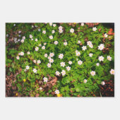 ウッドアネモネかわいらし春花 ラッピングペーパーシート (正面2)