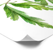 ウッドアネモネ水彩画 ポスター (角)