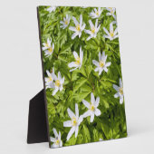 ウッドアネモン フォトプラーク (側面)