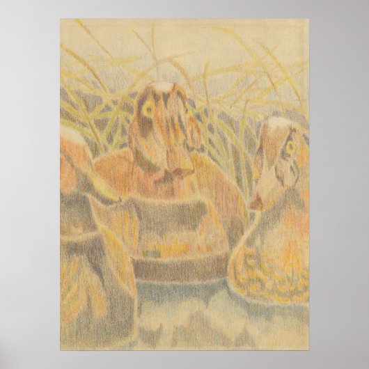 ウッドアヒルのオコイが池に ポスター (正面)