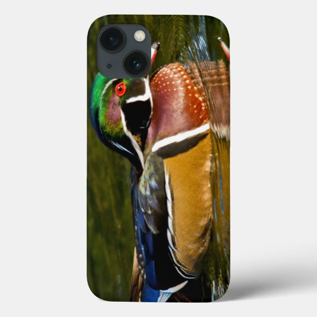 ウッドアヒル水泳、クリスタル春シャクナゲ Case-Mate iPhoneケース (Back)