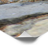 ウッドアヒル美しい野鳥観察自然野生動物 ポスター (コーナー)