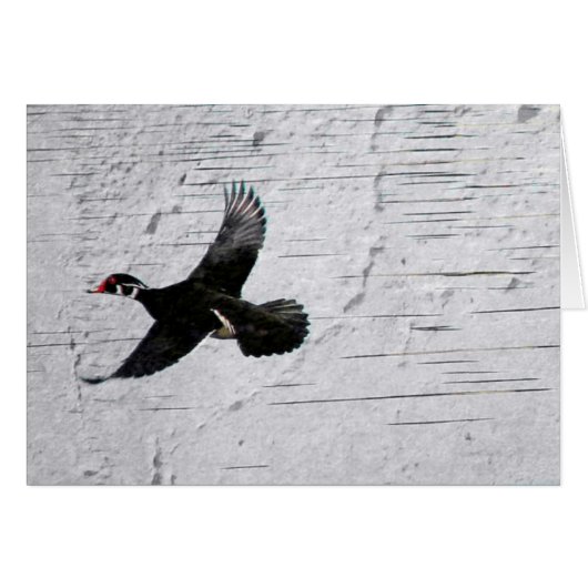 ウッドアヒル (正面横)