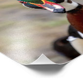 ウッドアヒル フォトプリント            (角)