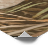 ウッドアヒル ポスター (角)