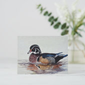 ウッドアヒル ポストカード (スタンド正面)