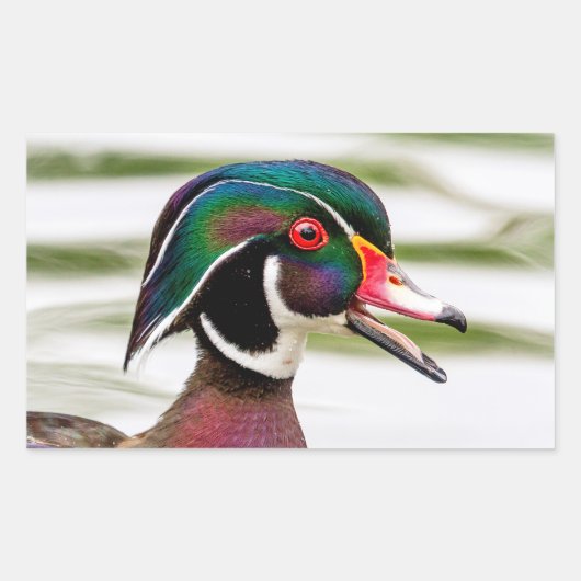 ウッドアヒル 長方形シール (正面)