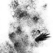 ウッドアートスタンプを染める ラバースタンプ