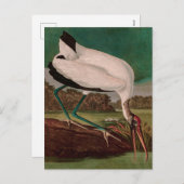 ウッドイビスバーズオブアメリカオードボンプリント シーズンポストカード (正面/裏面)