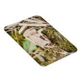 ウッドカエル自然ウッドランドアニマルズ マグネット (右側)