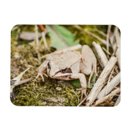 ウッドカエル自然ウッドランドアニマルズ マグネット