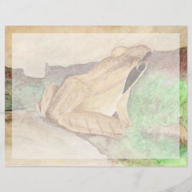 ウッドカエル (正面)