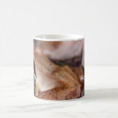 ウッドカエル コーヒーマグカップ (中央)