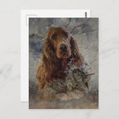 ウッドコック付きアイリッシュセッター ポストカード (正面/裏面)