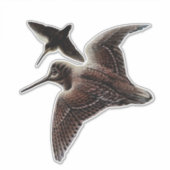 ウッドコック狩り シール (正面)