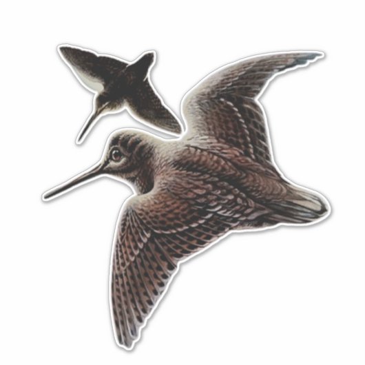 ウッドコック狩り シール (正面)