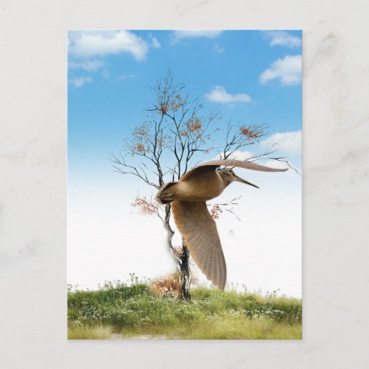 ウッドコック ポストカード (正面)