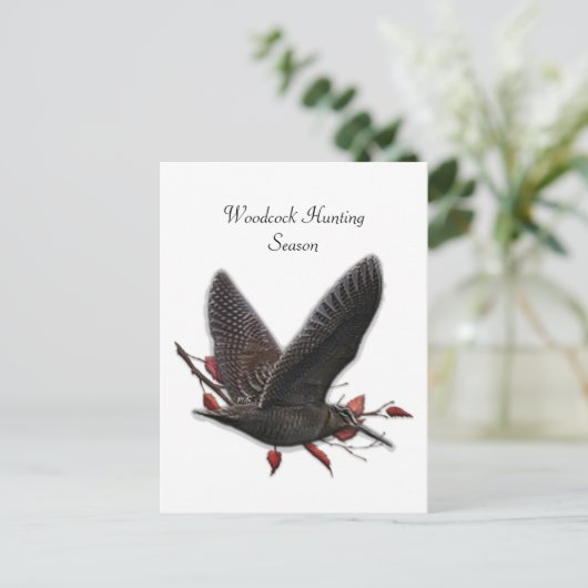 ウッドコック ポストカード (スタンド正面)