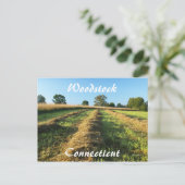 ウッドストック ポストカード (スタンド正面)