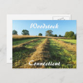 ウッドストック ポストカード (正面/裏面)