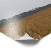 ウッドストークのフライト写真プリント幅 フォトプリント            (角)