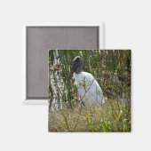 ウッドストーク鳥の湿地フロリダ写真 マグネット (正面/裏面)