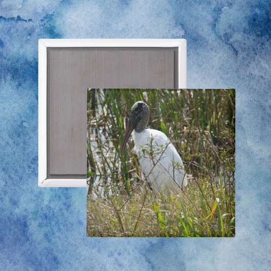 ウッドストーク鳥の湿地フロリダ写真 マグネット