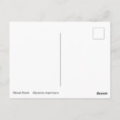 ウッドストーク ポストカード (裏面)