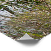 ウッドストークatヴィエラ湿地フロリダ写真 ポスター (角)