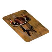 ウッドダックオンゴールデンレイク マグネット (右側)