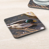 ウッドダックコルクコースター コースター (左側)