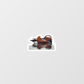 ウッドダックサンダー_コーブ  ウィンドウサイン (シート)