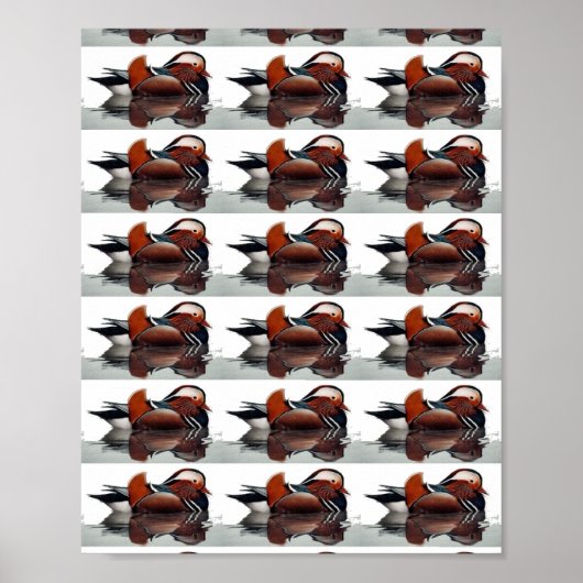 ウッドダックサンダー_コーブ ポスター (正面)