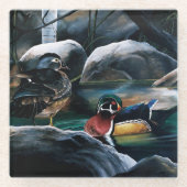 ウッドダックス池 ガラスコースター (正面)