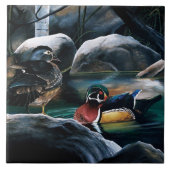 ウッドダックス池 タイル (正面)